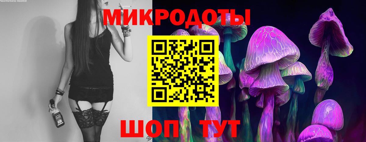 Галлюциногенные грибы Magic Shrooms  Вход с VPN  Борзя 