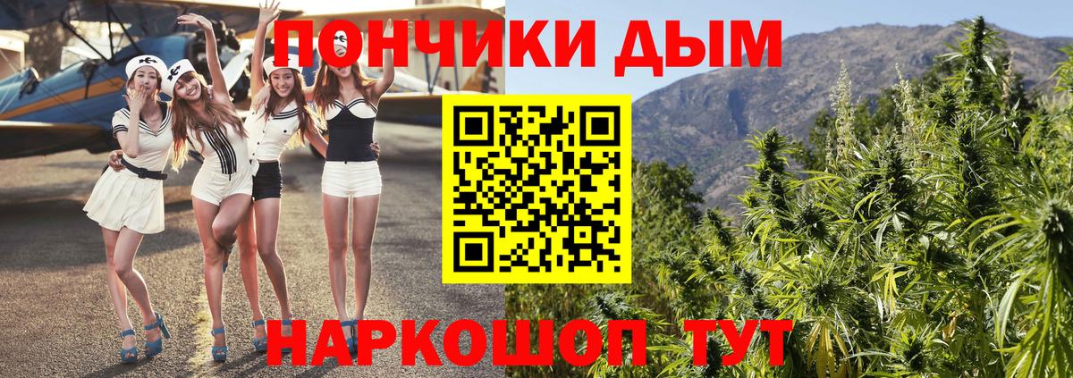 Борзя  Шишки марихуана Amnesia  Канабис тримм  Шишки марихуана конопля  Вход с VPN  Бошки Шишки индика 